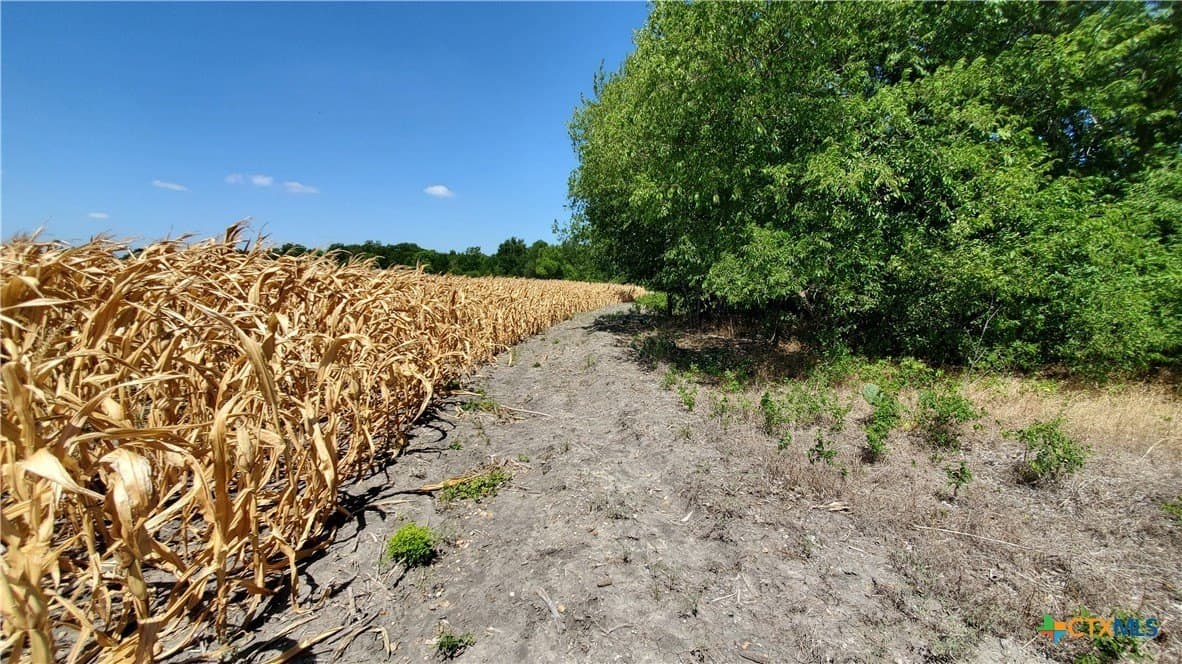 80.5 acres in Bell County - photo 18