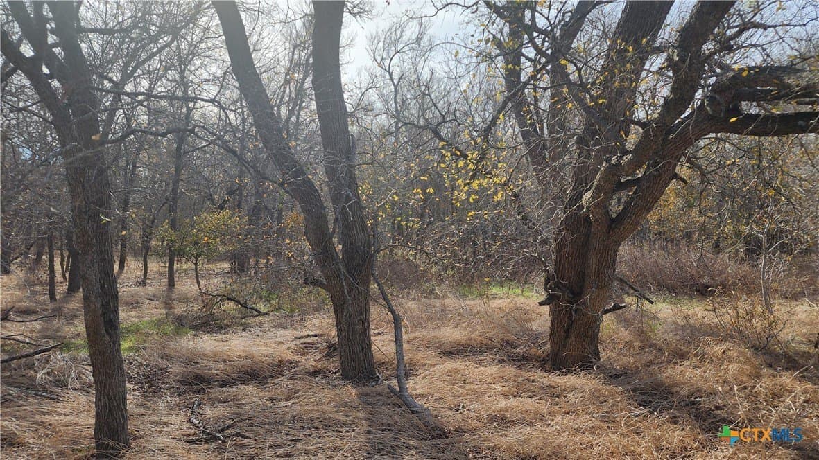 80.5 acres in Bell County - photo 17