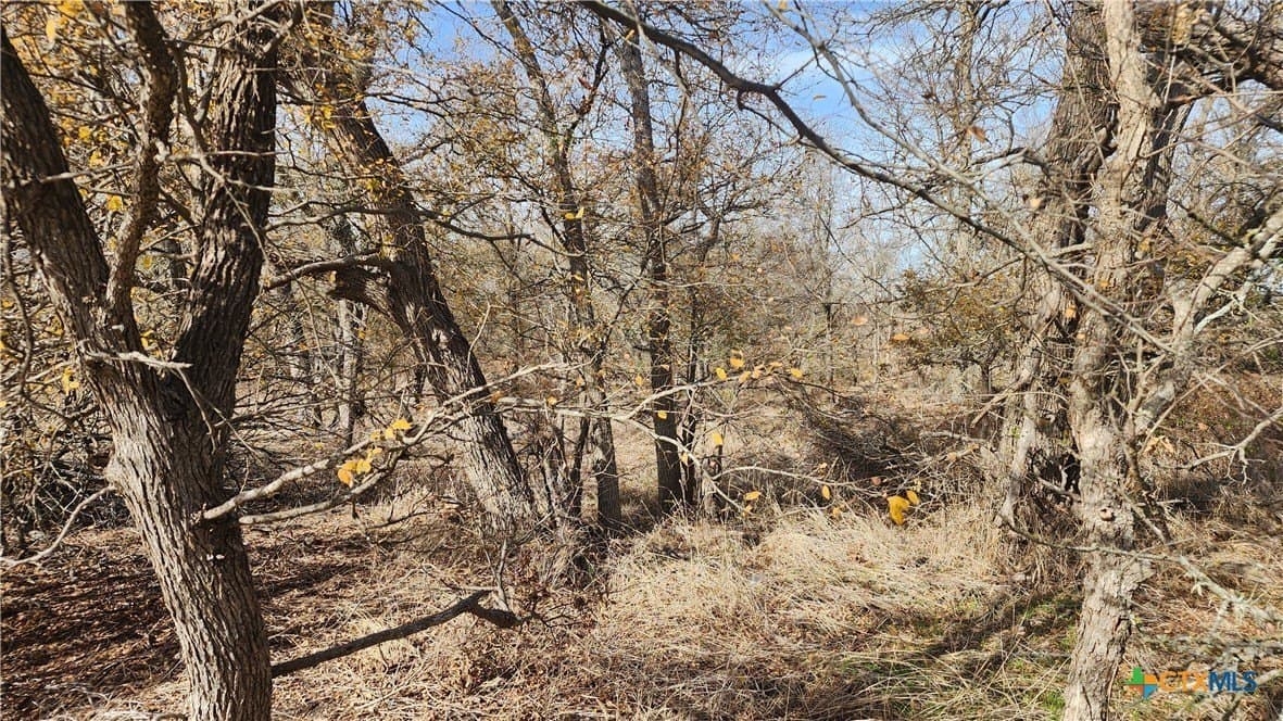 80.5 acres in Bell County - photo 10