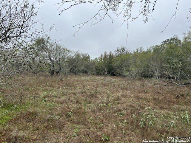 10.72 acres in Guadalupe County - photo 3