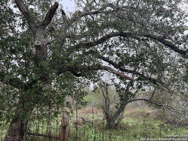 10.72 acres in Guadalupe County - photo 4