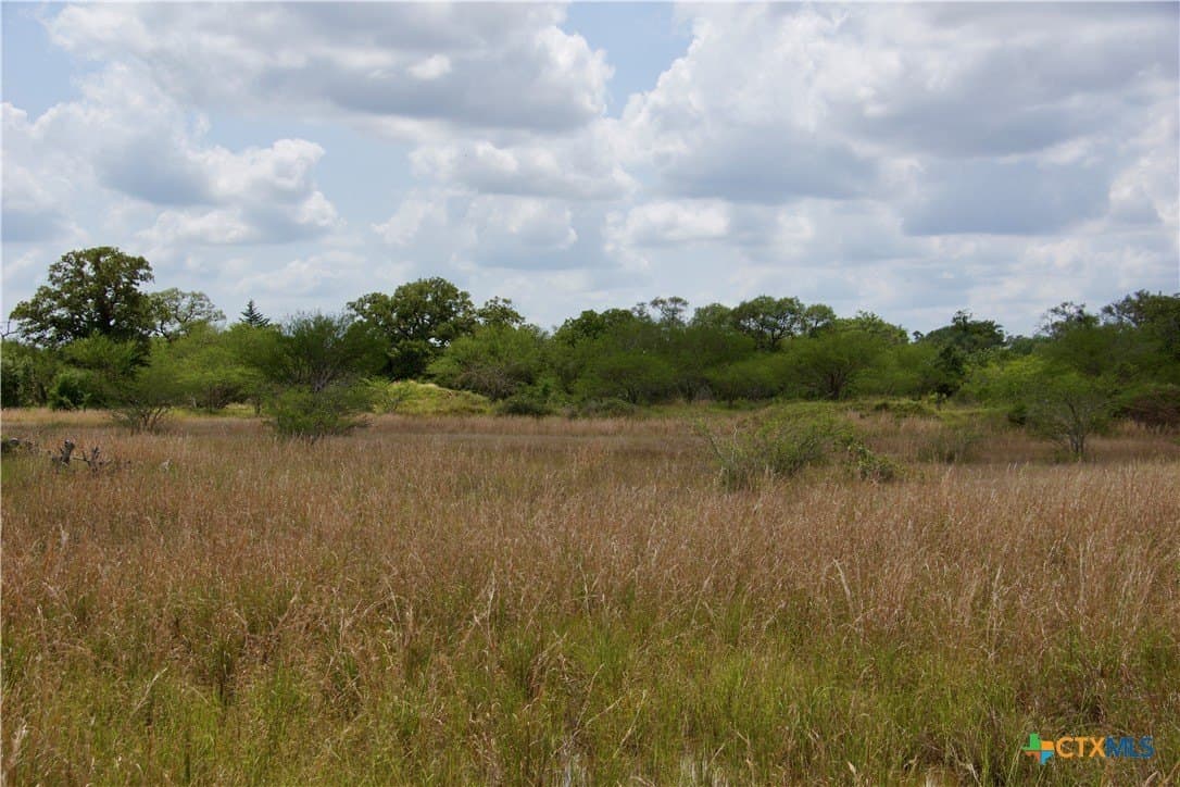 17.9 acres in DeWitt County - photo 22