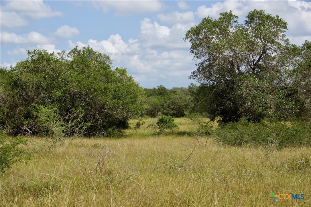 17.9 acres in DeWitt County - photo 26
