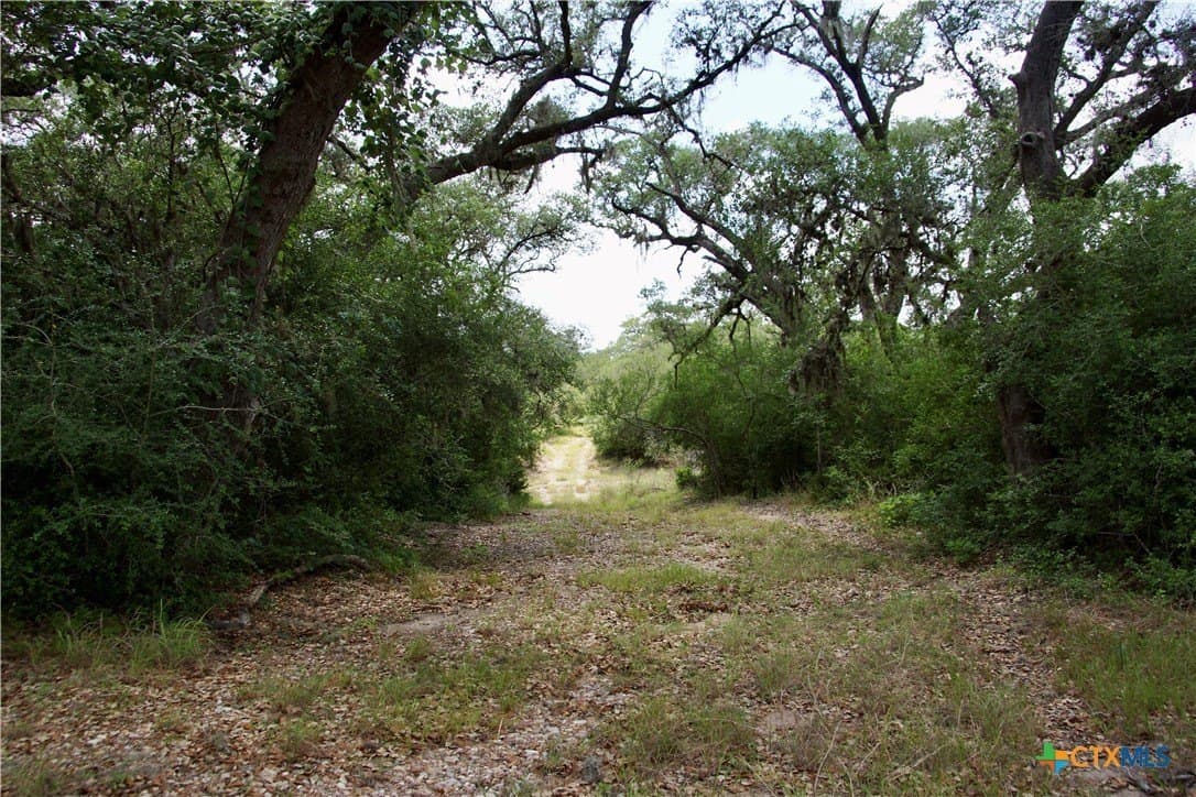 17.9 acres in DeWitt County - photo 11
