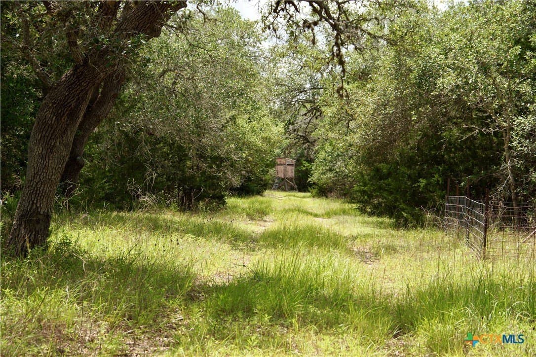 17.9 acres in DeWitt County - photo 21