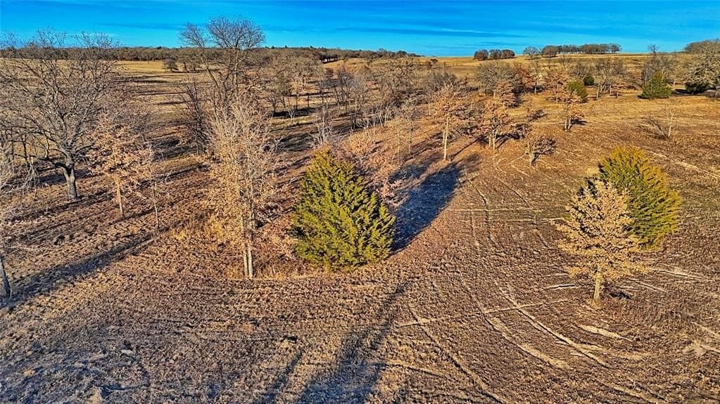 27.45 acres in Montague County - photo 14