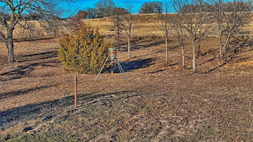 27.45 acres in Montague County - photo 18