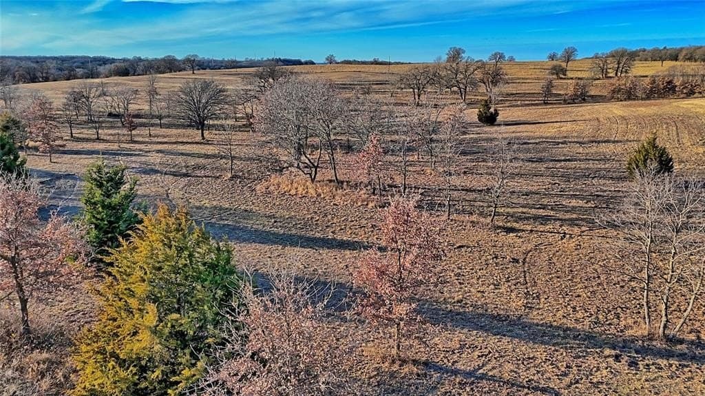 27.45 acres in Montague County - photo 5