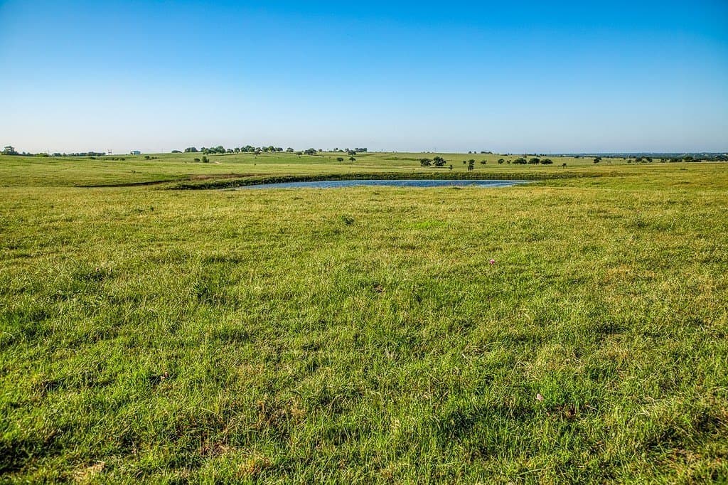 12.4 acres in Washington County - photo 6