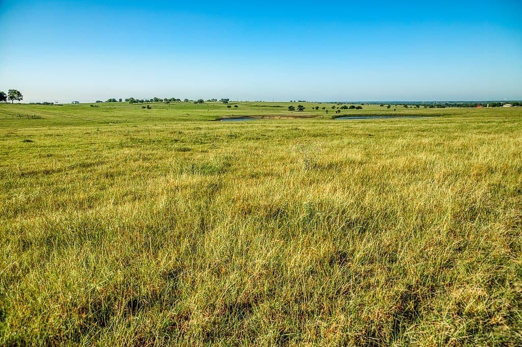12.4 acres in Washington County - photo 4