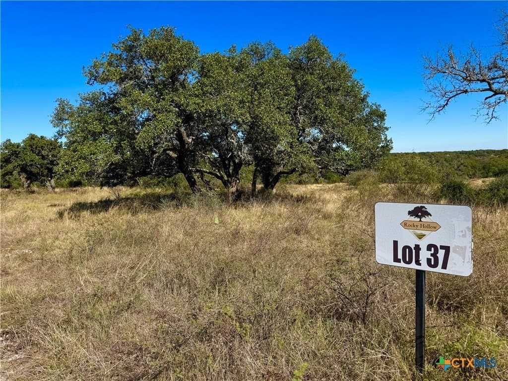 Buck Run Rd. lot: 37