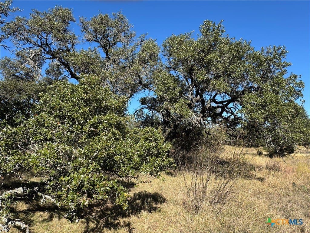5 acres in San Saba County - photo 5