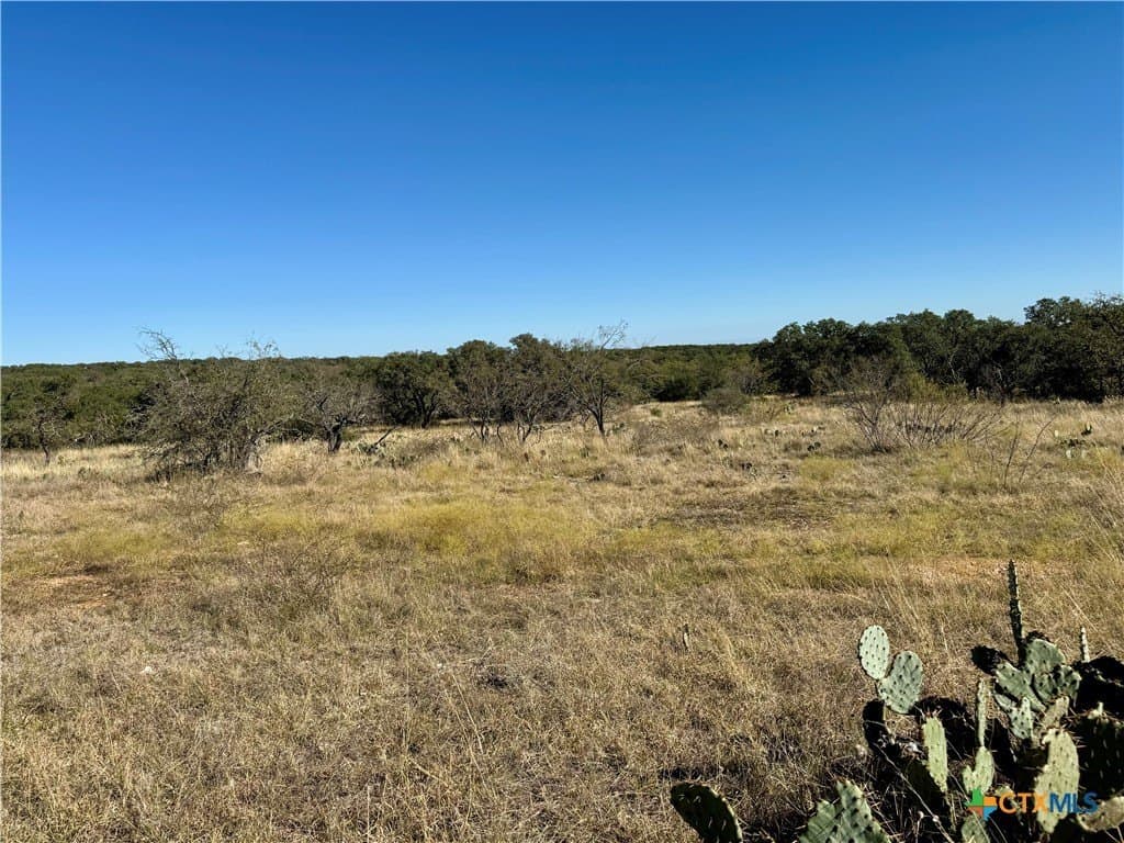 5 acres in San Saba County - photo 3