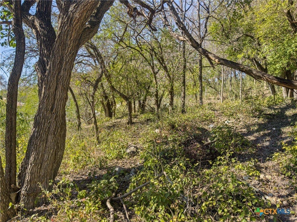 0.35 acres in Comal County - photo 6