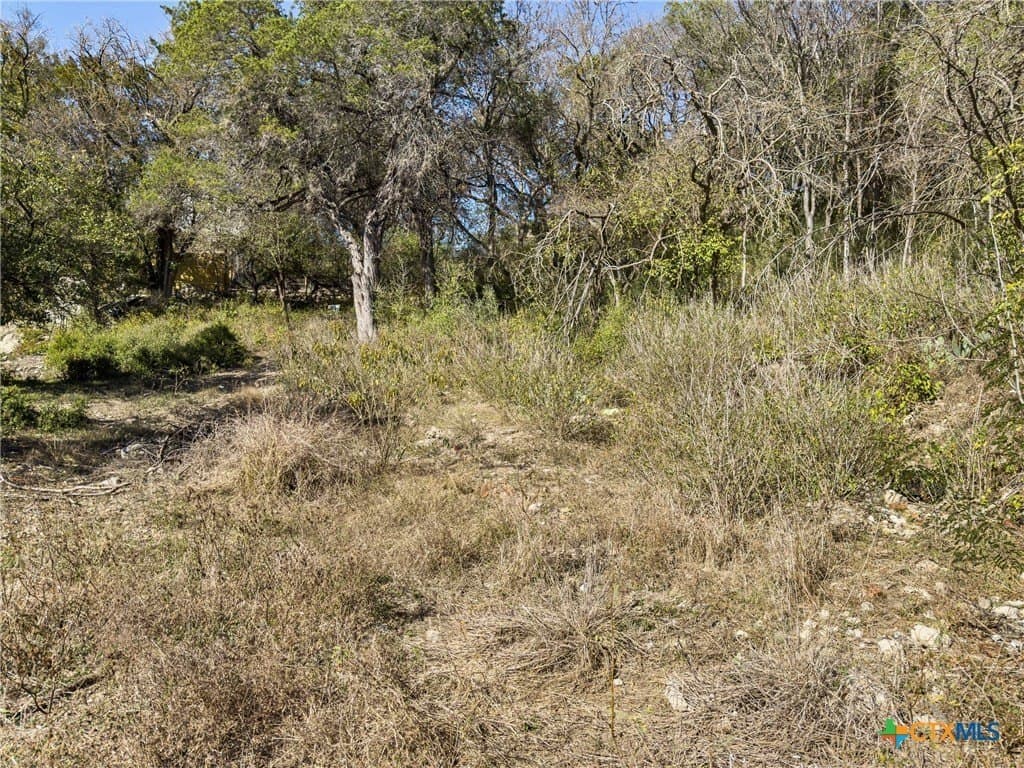 0.35 acres in Comal County - photo 12