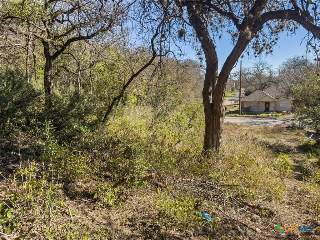 0.35 acres in Comal County - photo 8