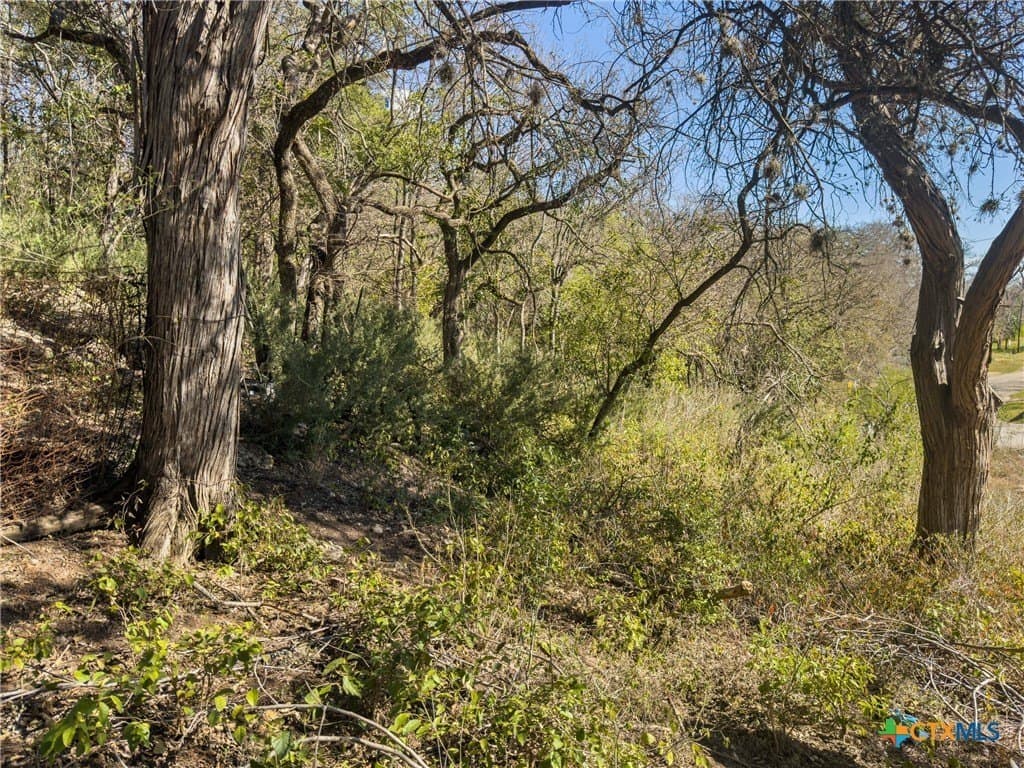 0.35 acres in Comal County - photo 2