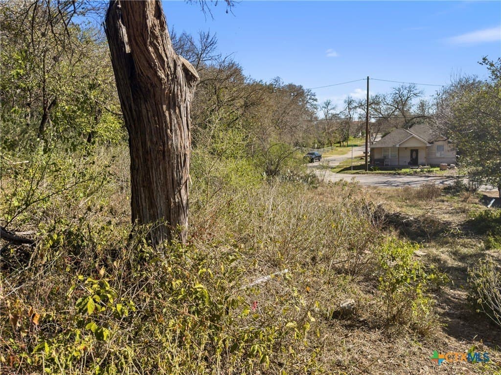0.35 acres in Comal County - photo 9