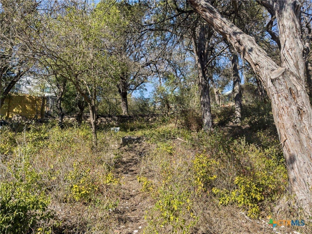 0.35 acres in Comal County - photo 10