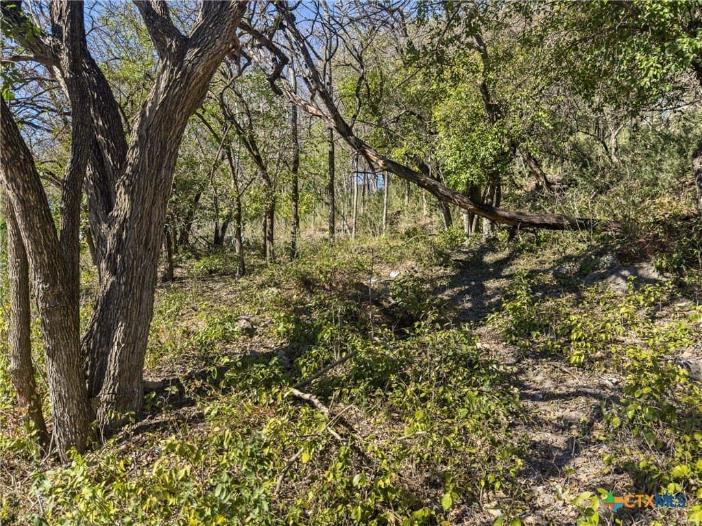 0.35 acres in Comal County - photo 5