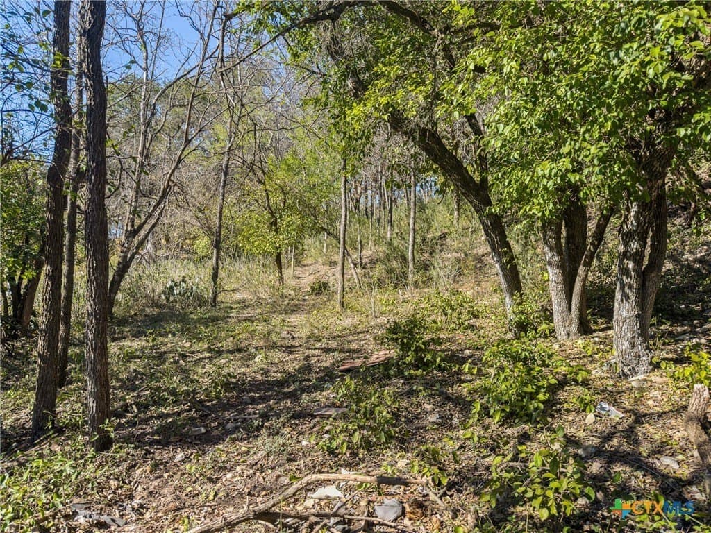 0.35 acres in Comal County - photo 7