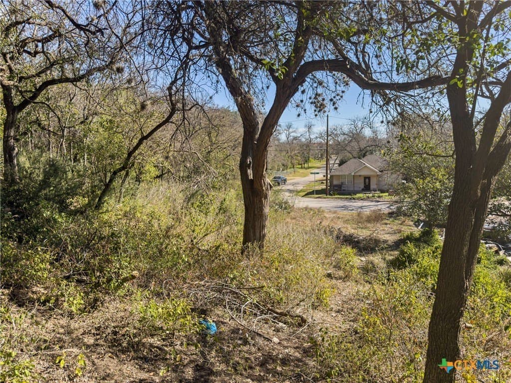 0.35 acres in Comal County - photo 3