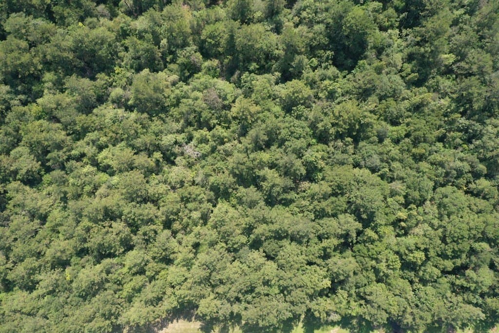 16.87 acres in Texas County - photo 8
