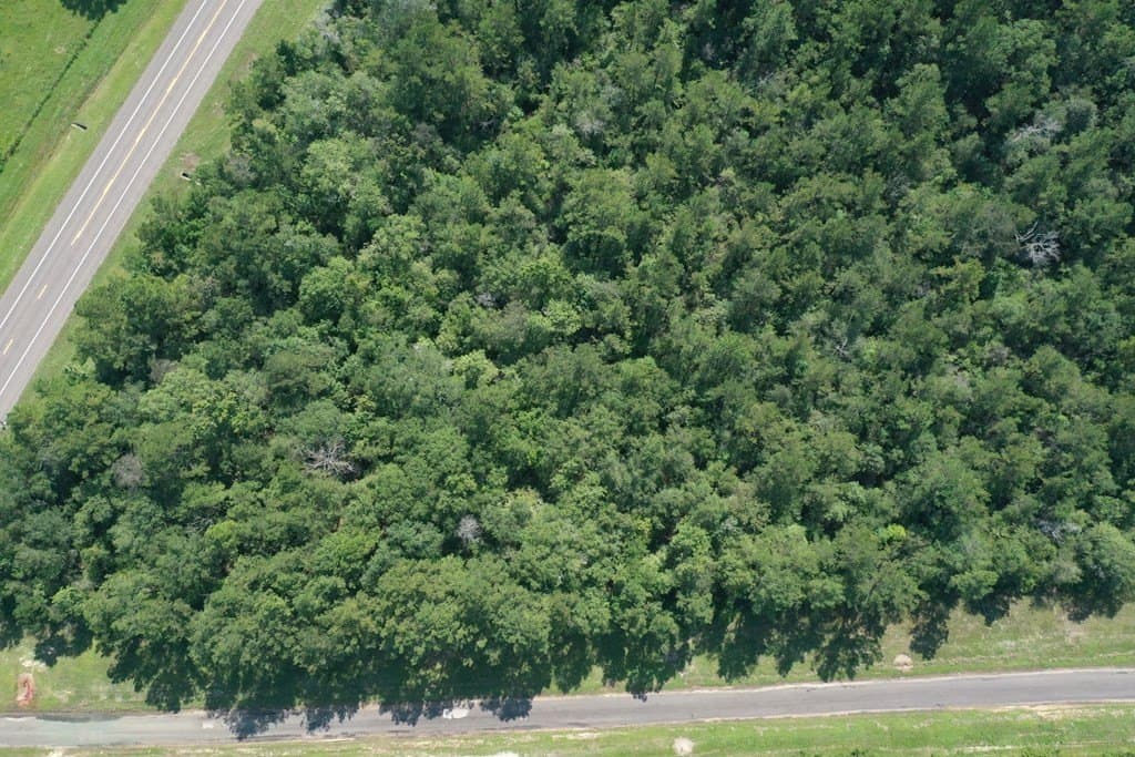 16.87 acres in Texas County - photo 15