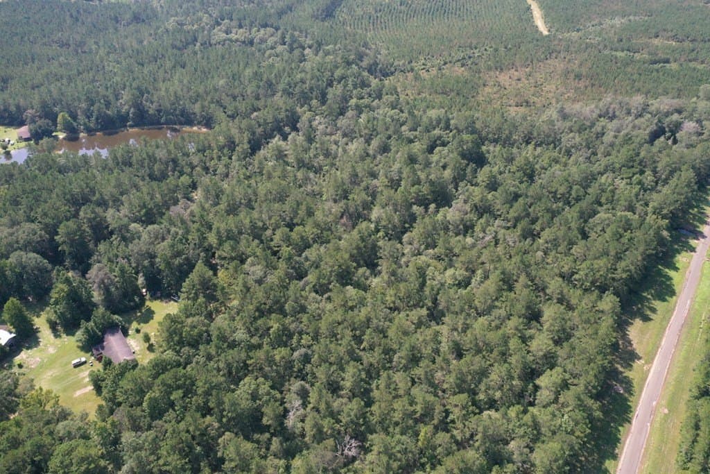 16.87 acres in Texas County - photo 18