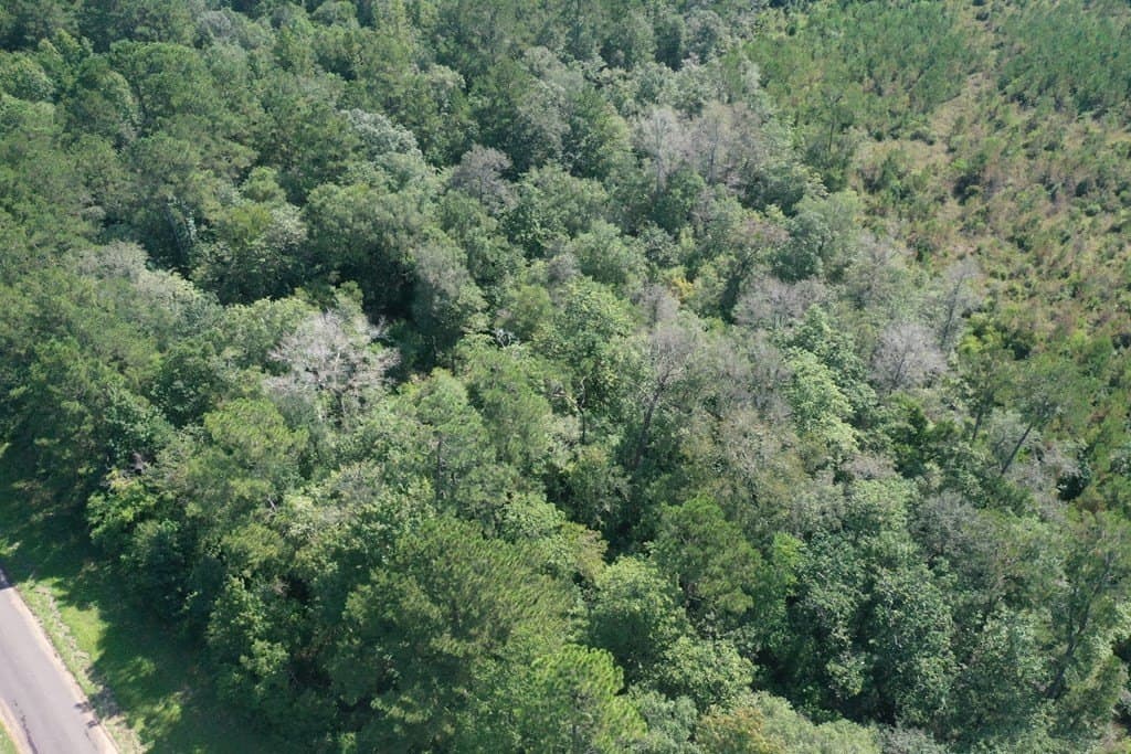 16.87 acres in Texas County - photo 7