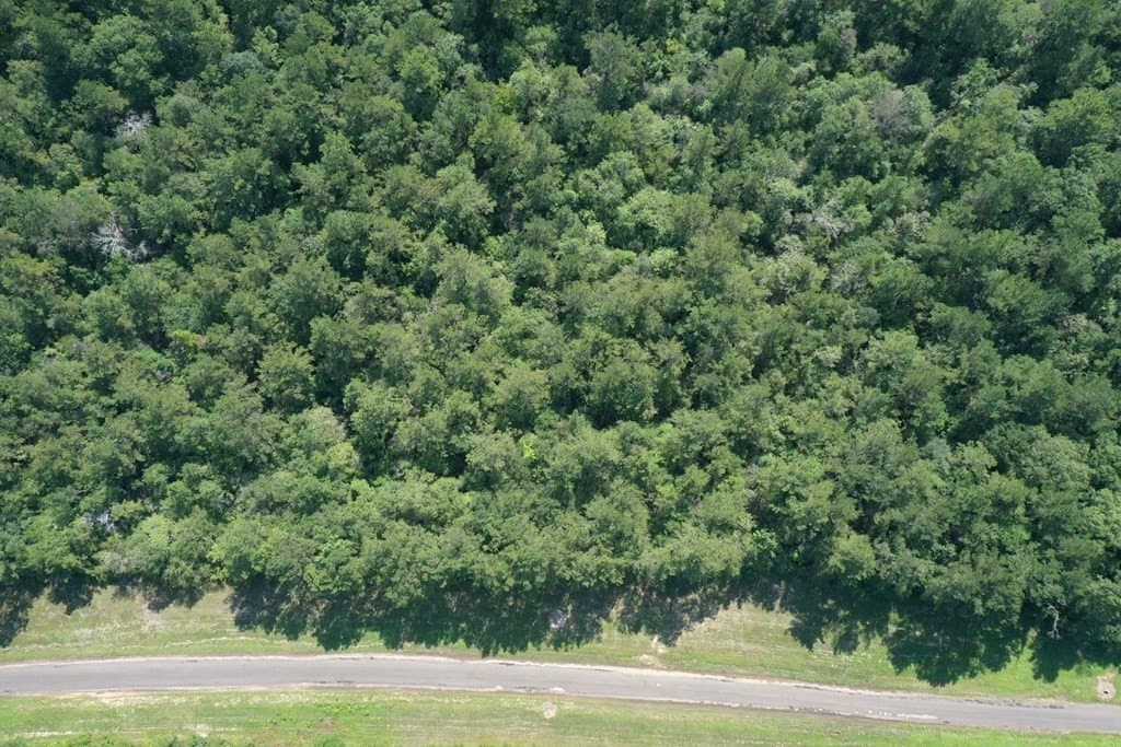 16.87 acres in Texas County - photo 12
