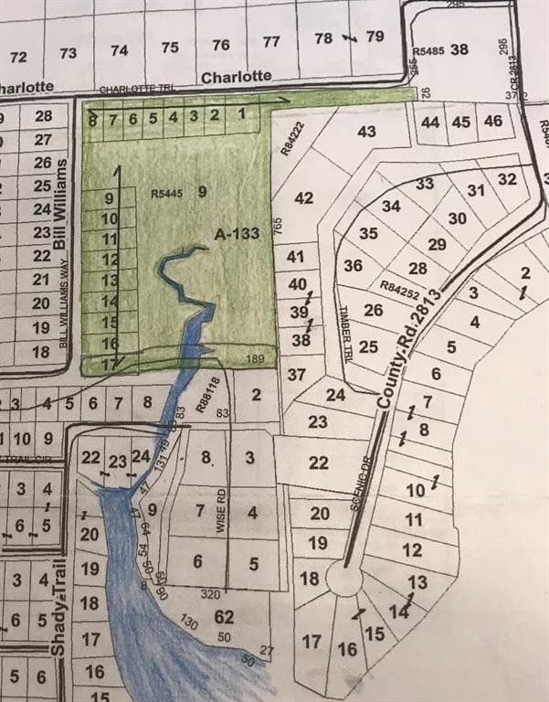 10.19 acres in Henderson County - photo 5