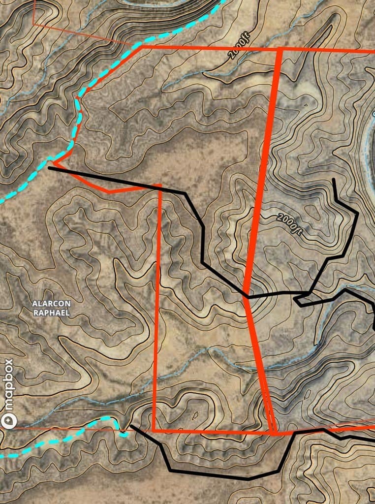 202 acres in Terrell County - photo 3