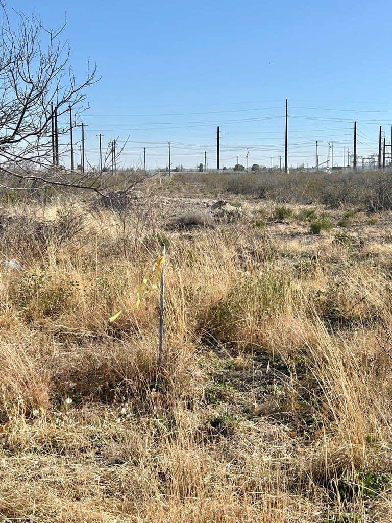 10.74 acres in Pecos County - photo 3