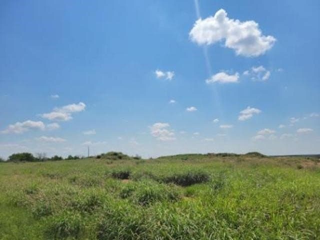 20 acres in WEBB County - photo 7