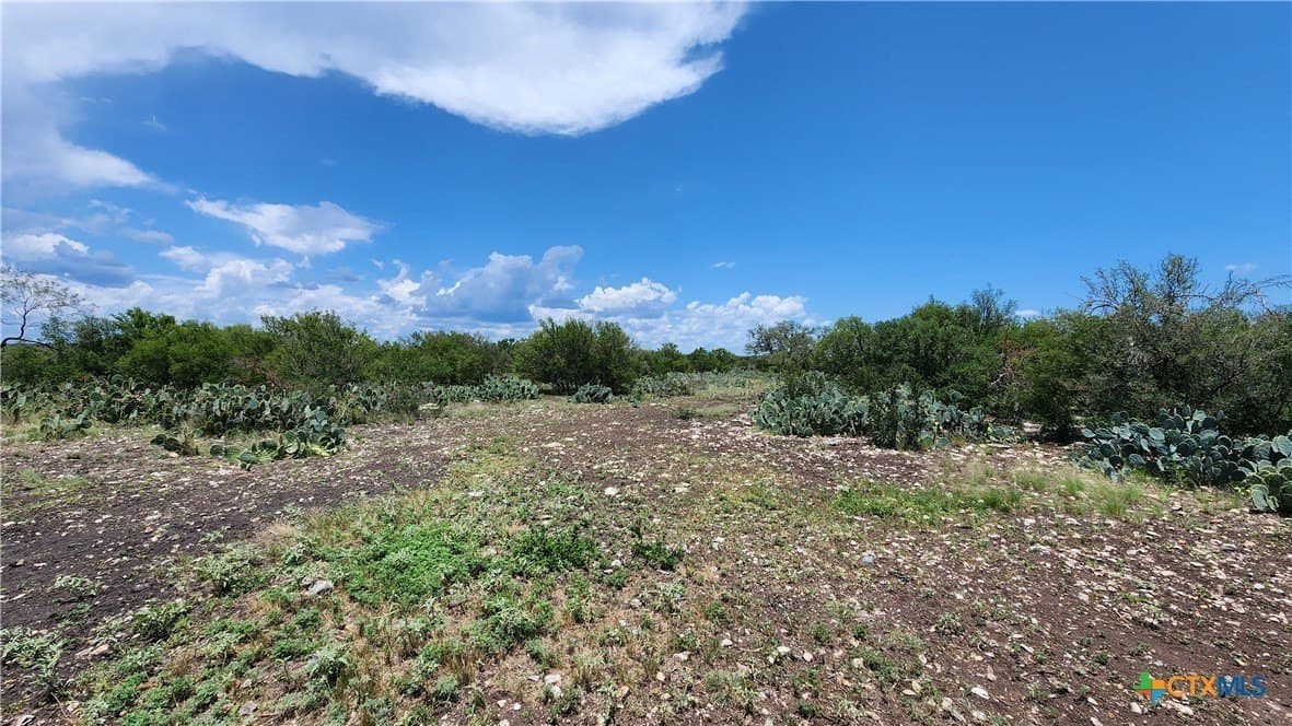 88.06 acres in Uvalde County - photo 25