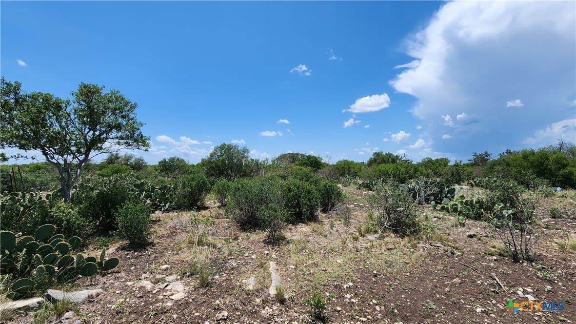 88.06 acres in Uvalde County - photo 24