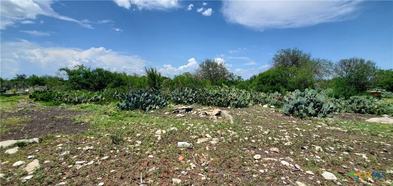 88.06 acres in Uvalde County - photo 21