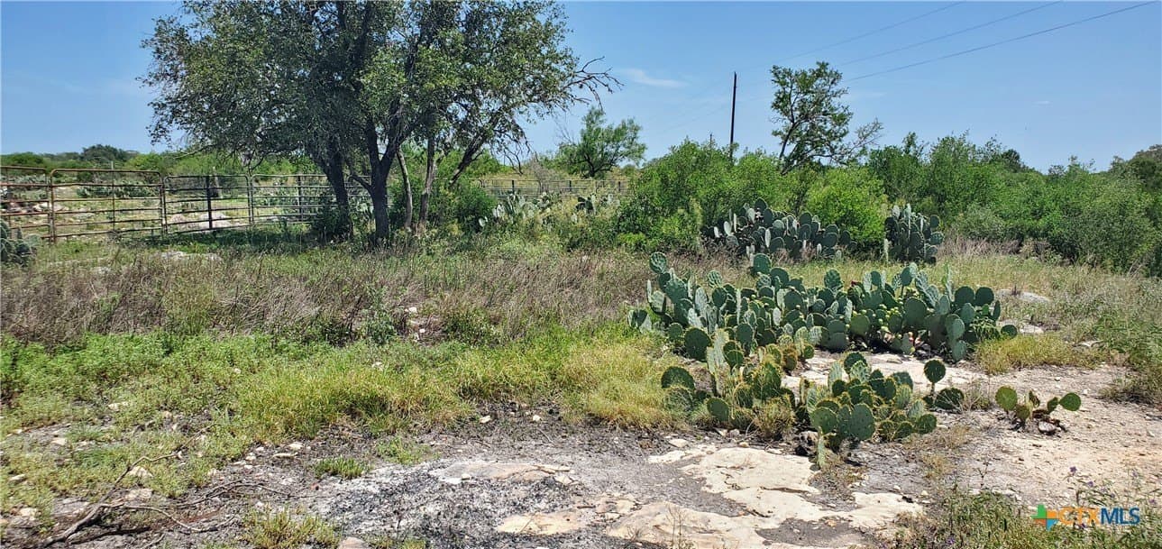 88.06 acres in Uvalde County - photo 15