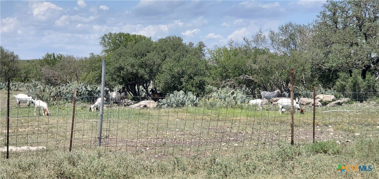 88.06 acres in Uvalde County - photo 18