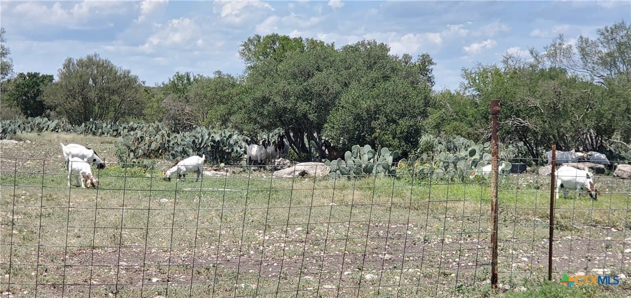 88.06 acres in Uvalde County - photo 19