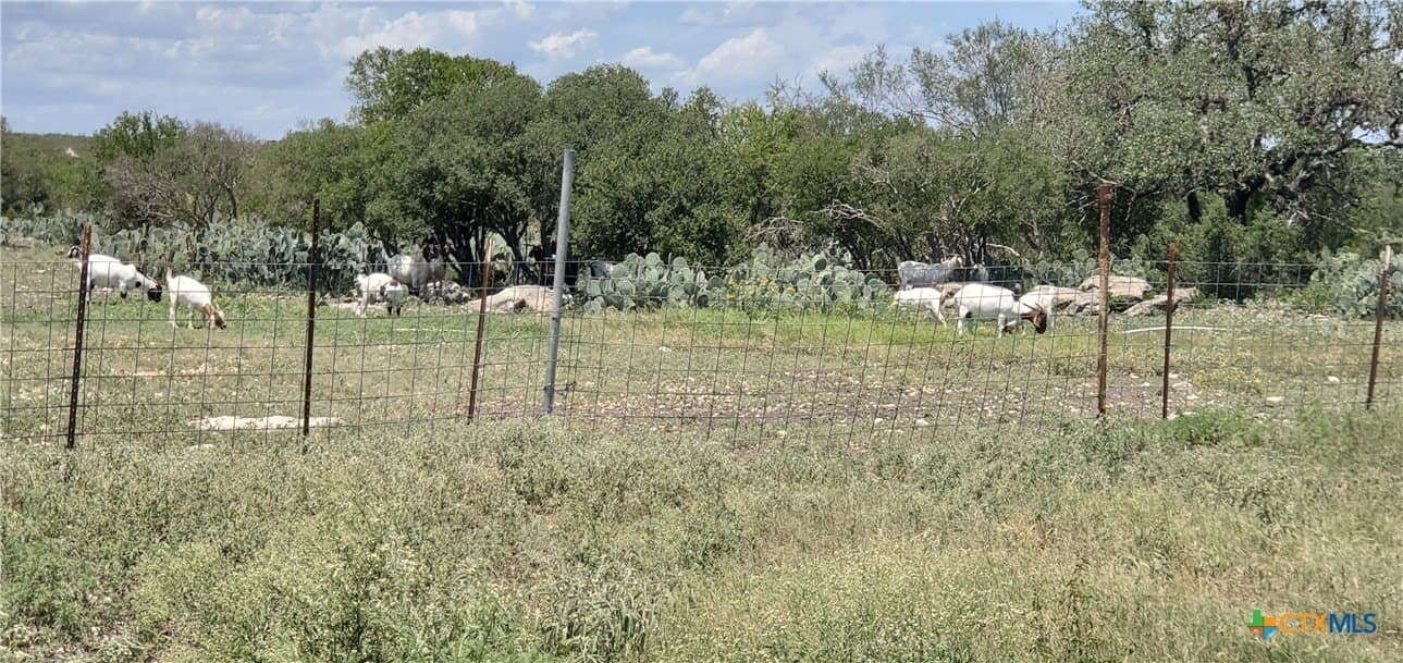 88.06 acres in Uvalde County - photo 17