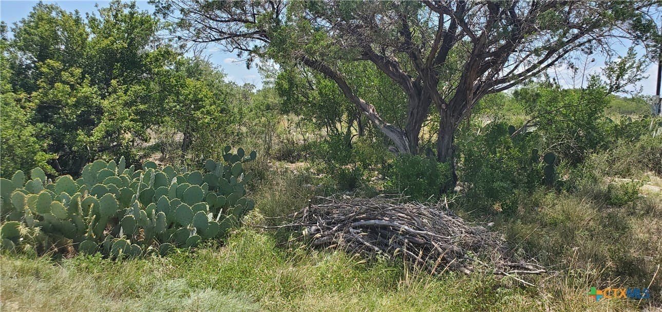 88.06 acres in Uvalde County - photo 16