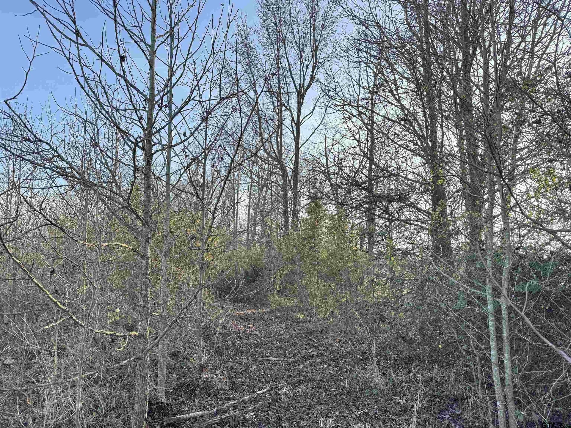 TBD County Road 4740
