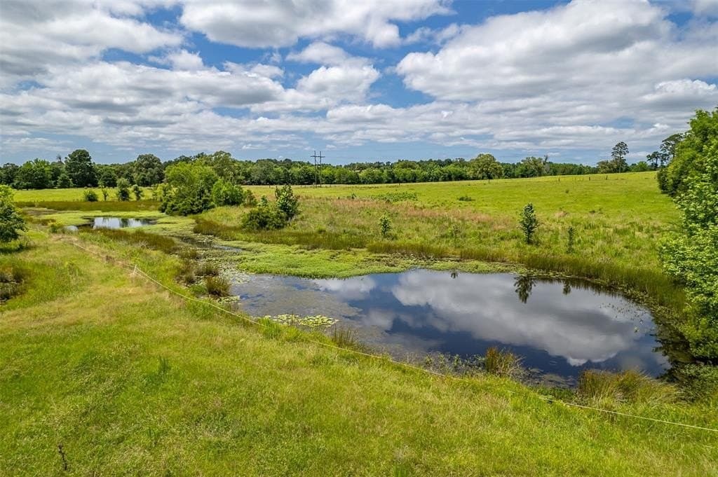 31.2 acres in Wood County - photo 33