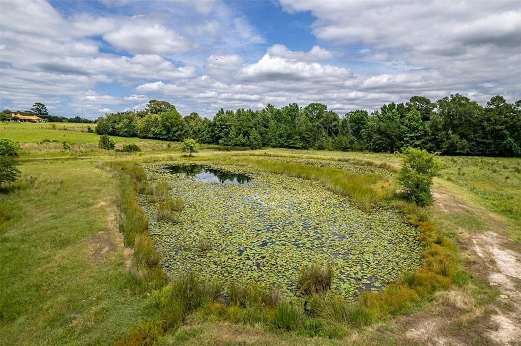 31.2 acres in Wood County - photo 31