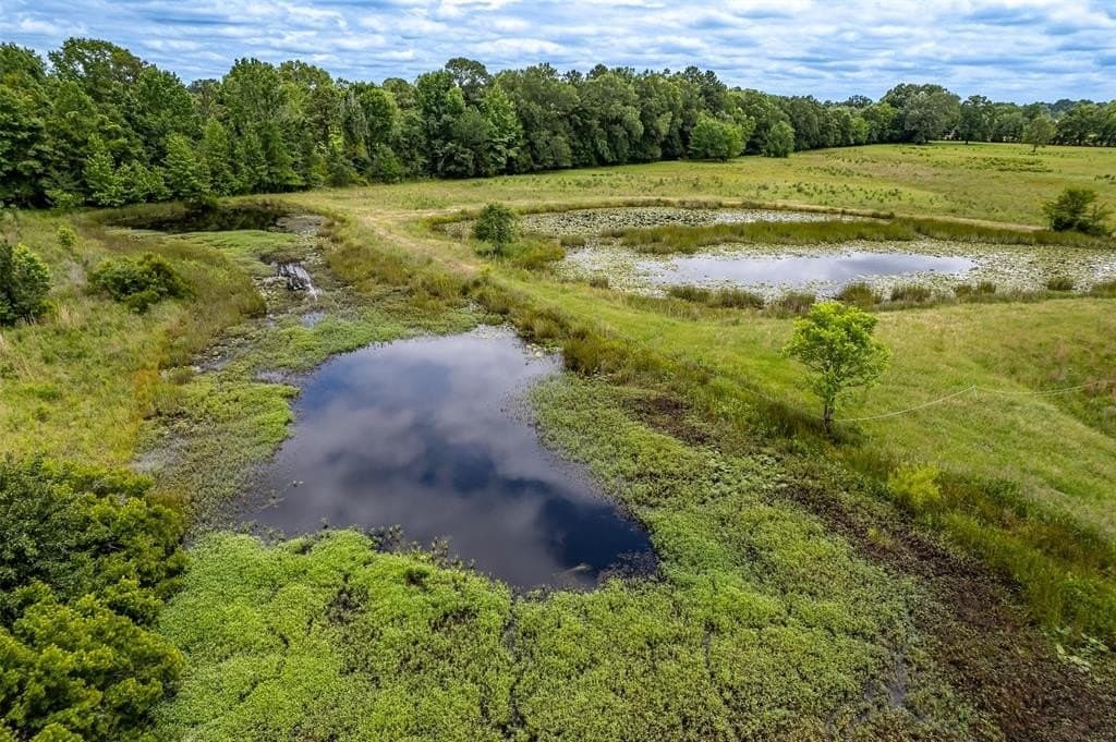 31.2 acres in Wood County - photo 30