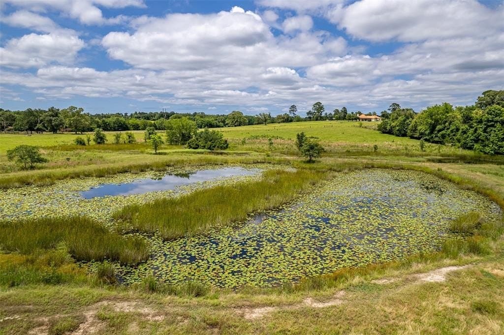 31.2 acres in Wood County - photo 32