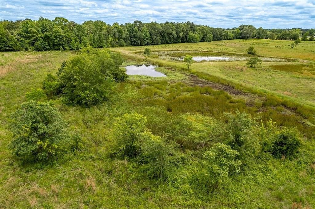 31.2 acres in Wood County - photo 29