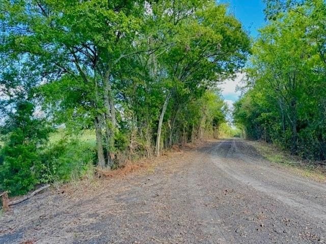 70 acres in Delta County - photo 3